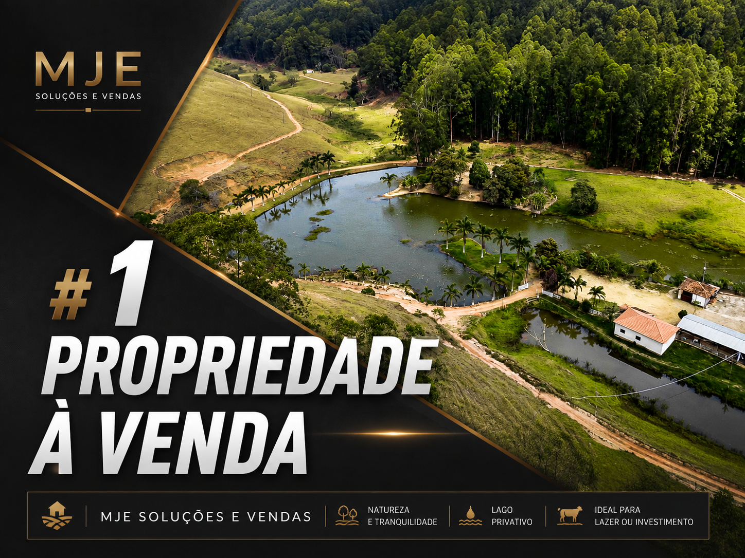 PROPRIEDADE 89 ALQUEIRES