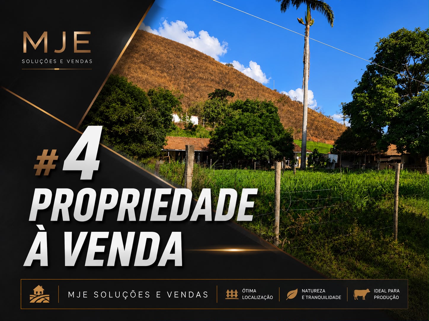 PROPRIEDADE 10,5 ALQUEIRES